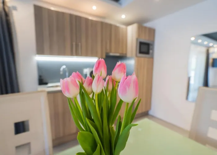 Evergreen * シオーフォク